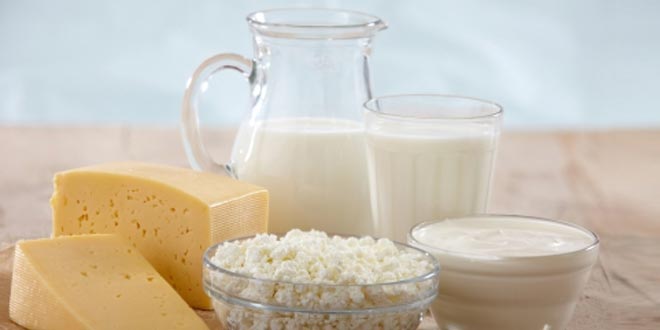 Milk_Cheese_Paneer