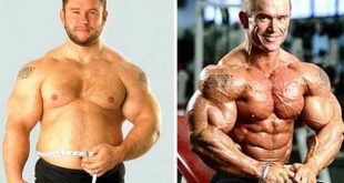 Bulking vs Cutting