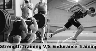 Difference strength and endurance training