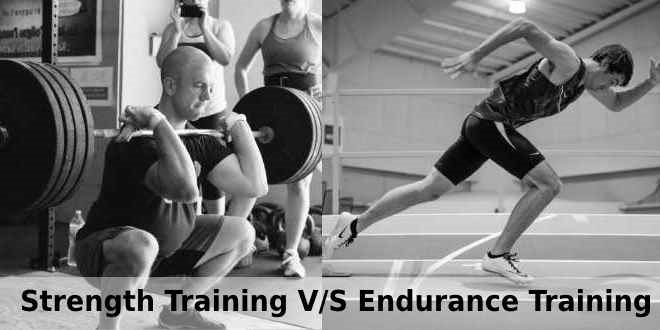 fure Faldgruber det sidste Difference between Strength and Endurance training - IBB - Indian  Bodybuilding